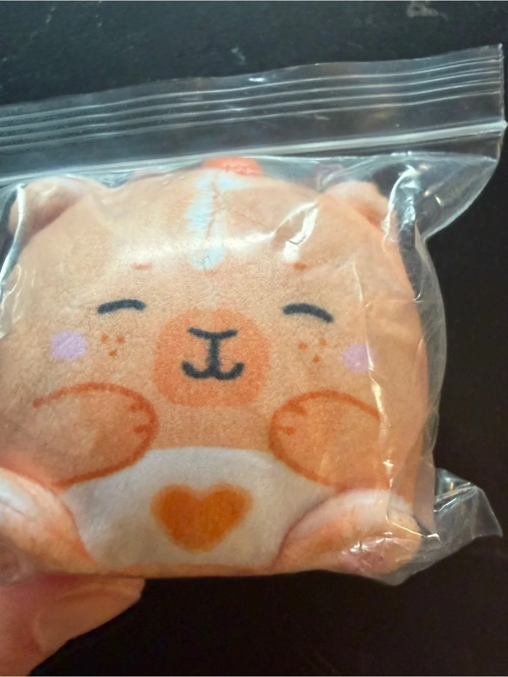 Squishy Top Trenz Super Duper Sugar Squisher Mini Moody Chill Orange Capybara